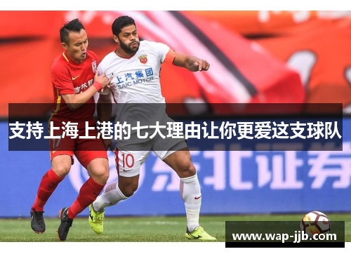 支持上海上港的七大理由让你更爱这支球队