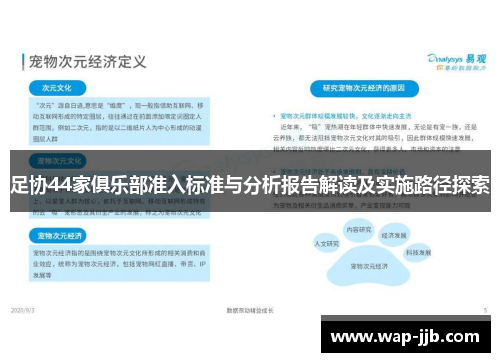 足协44家俱乐部准入标准与分析报告解读及实施路径探索