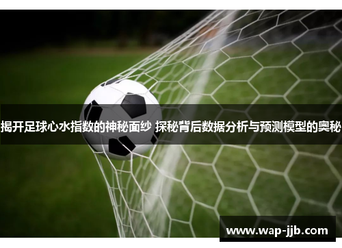 揭开足球心水指数的神秘面纱 探秘背后数据分析与预测模型的奥秘