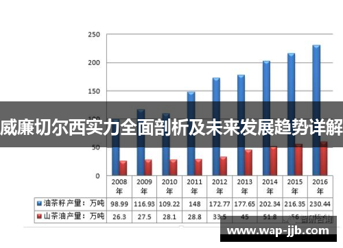 威廉切尔西实力全面剖析及未来发展趋势详解