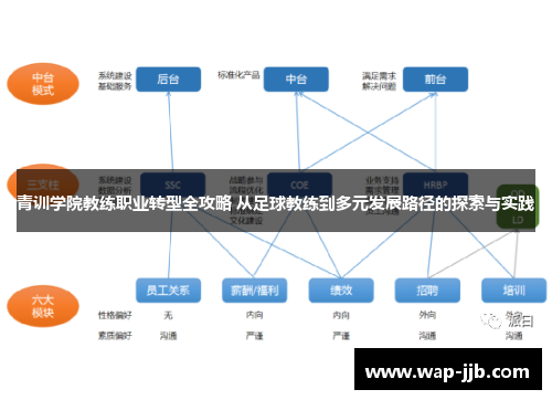 青训学院教练职业转型全攻略 从足球教练到多元发展路径的探索与实践
